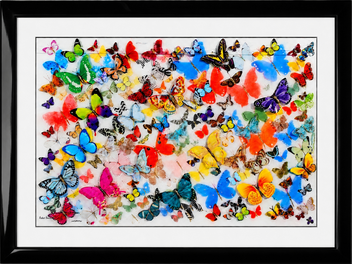 Butterflies Of The World - Limited Edition Canvas